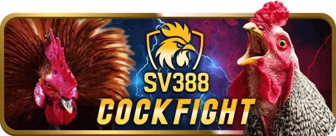 Chương trình hoàn trả 799bet